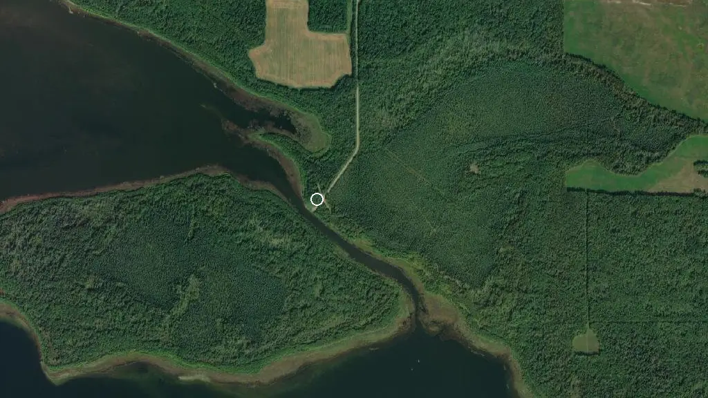 Aerial view of North Buck Lake Narrows Campground and surroundings