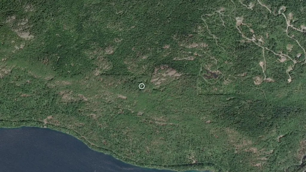 Aerial view of Little Qualicum Falls Prov Park and surroundings