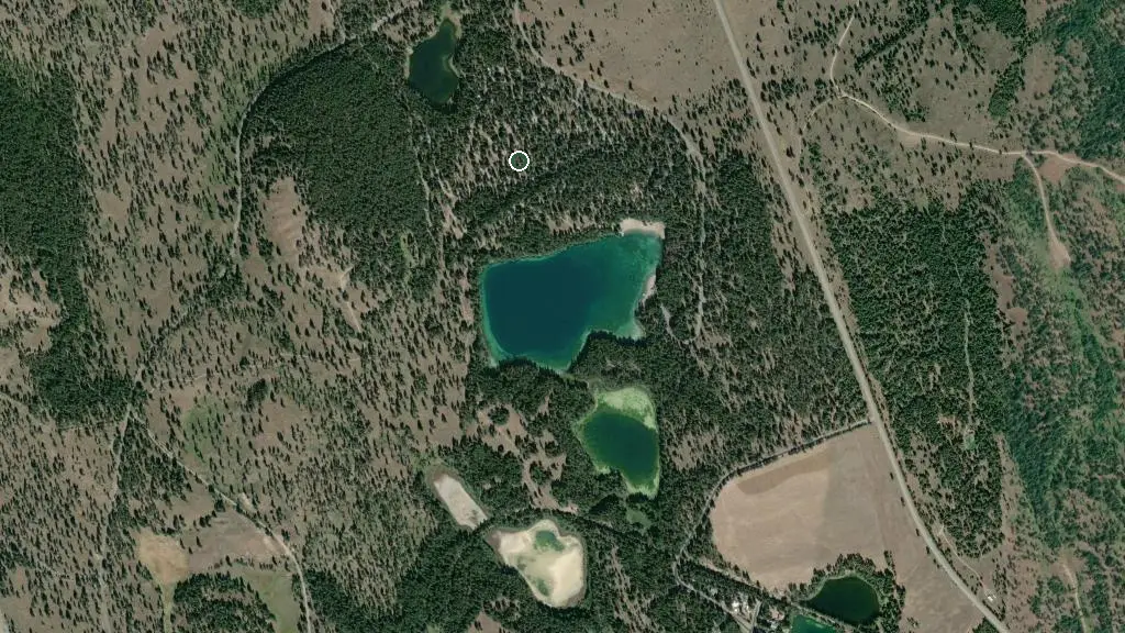 Surveyors Lake Camping