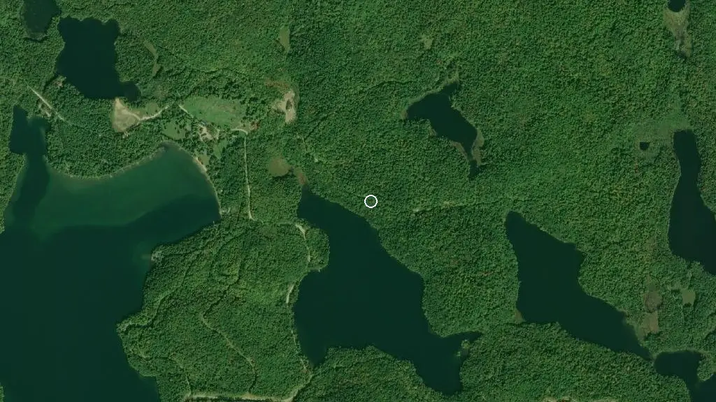 Buck North 5, Limberlost Forest