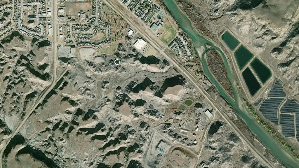 Dino’s RV Nest