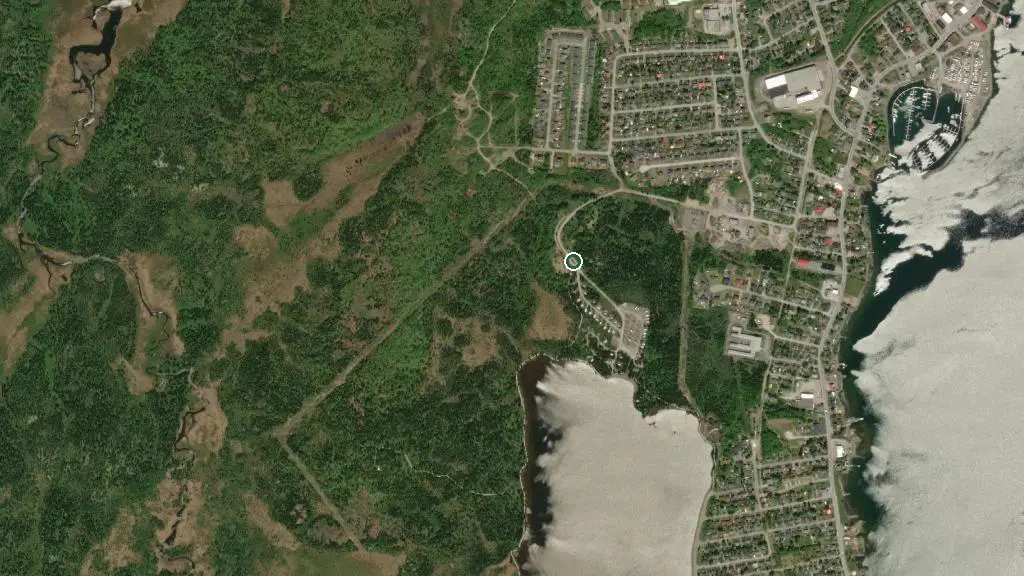 Aerial view of Woolfreys Pond Campground and surroundings