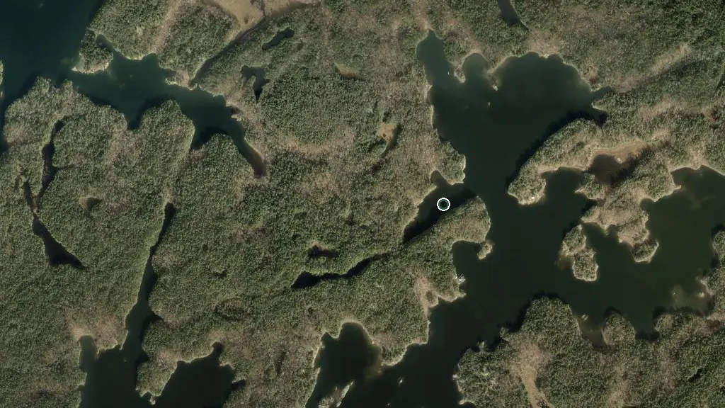 The Massasauga - Shotgun Bay