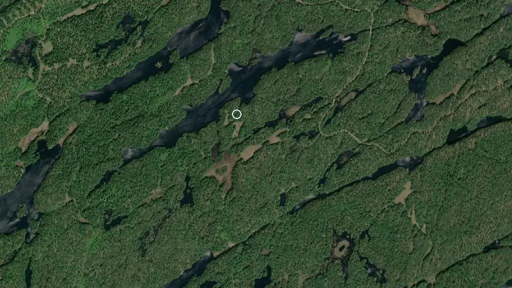 Aerial view of White Birches and surroundings