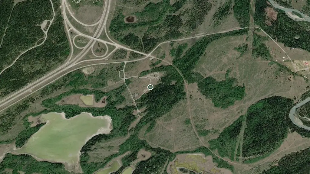 Owl group campground