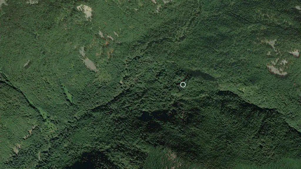 Aerial view of Grainger Creek Wilderness Campsite - E. C. Manning Provincial Park and surroundings