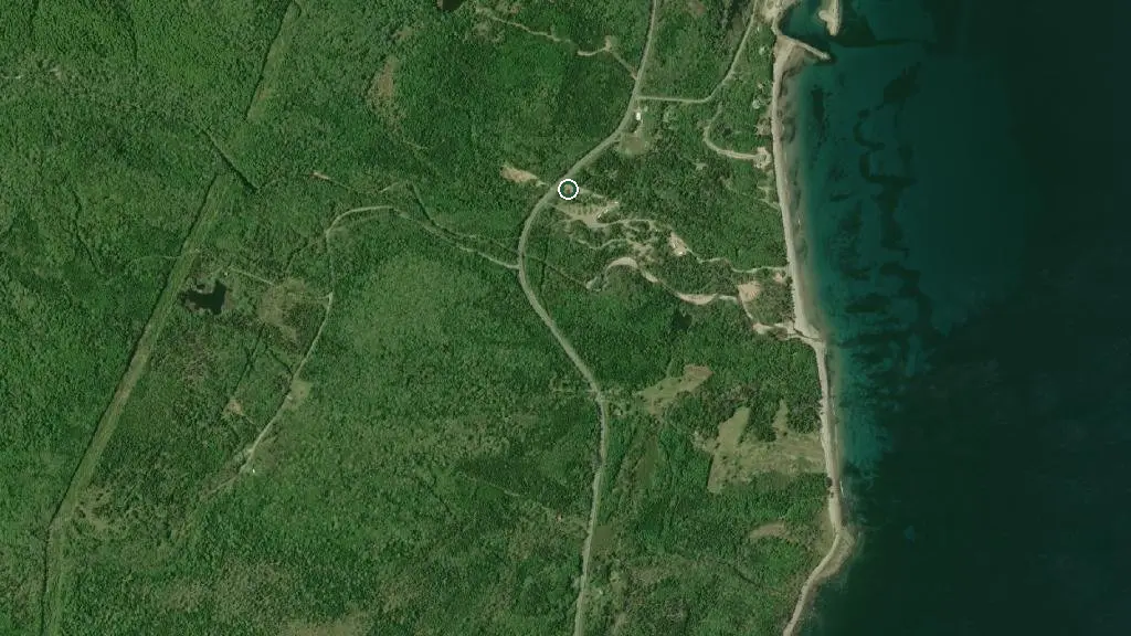 Avoca Birches Campground