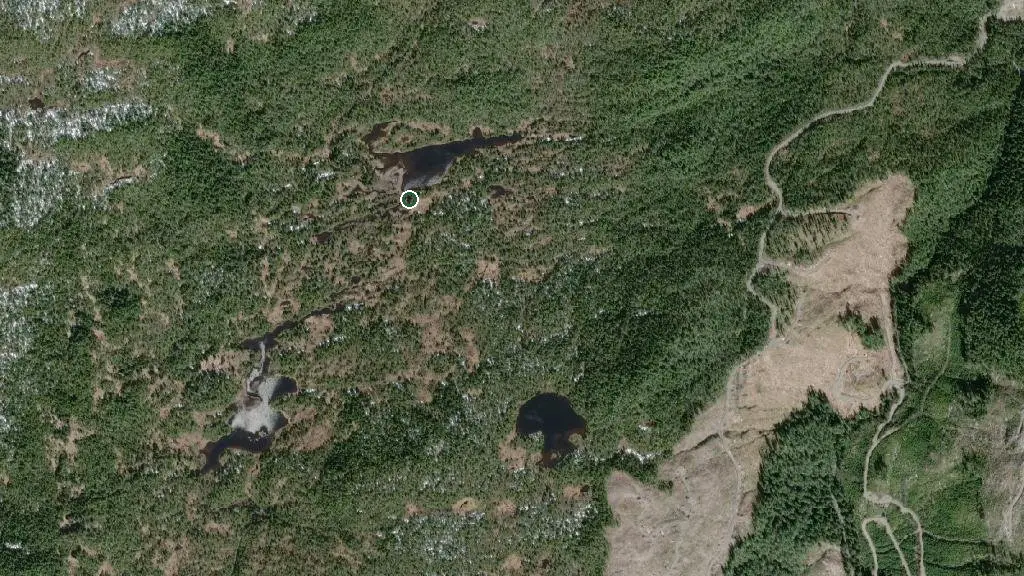 Aerial view of Noyse Lake Cabin and surroundings