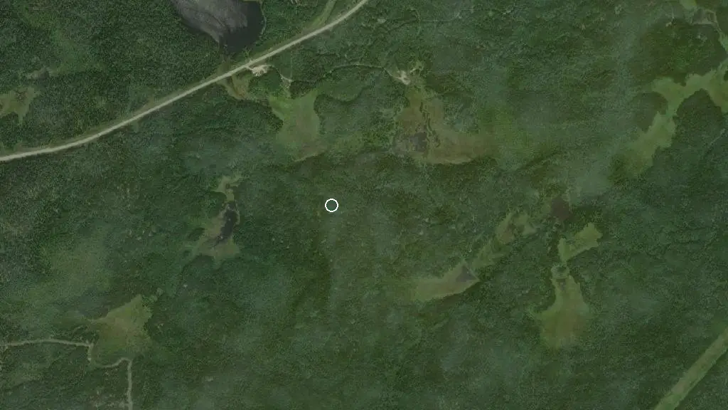 Aerial view of Trout River Lodge and surroundings