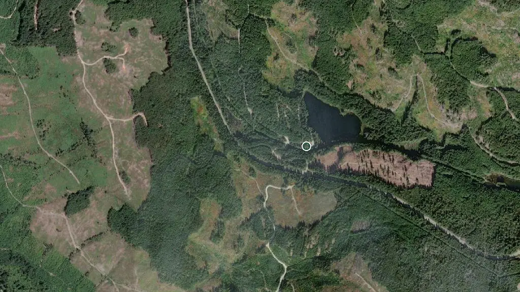Aerial view of Loon Lake Campsite and surroundings