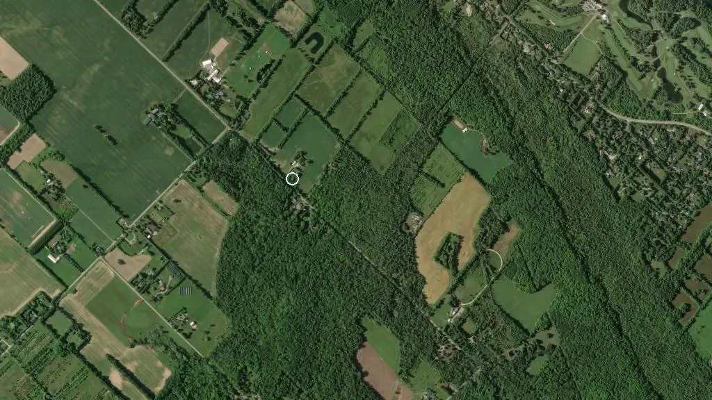 Lost Forest Park